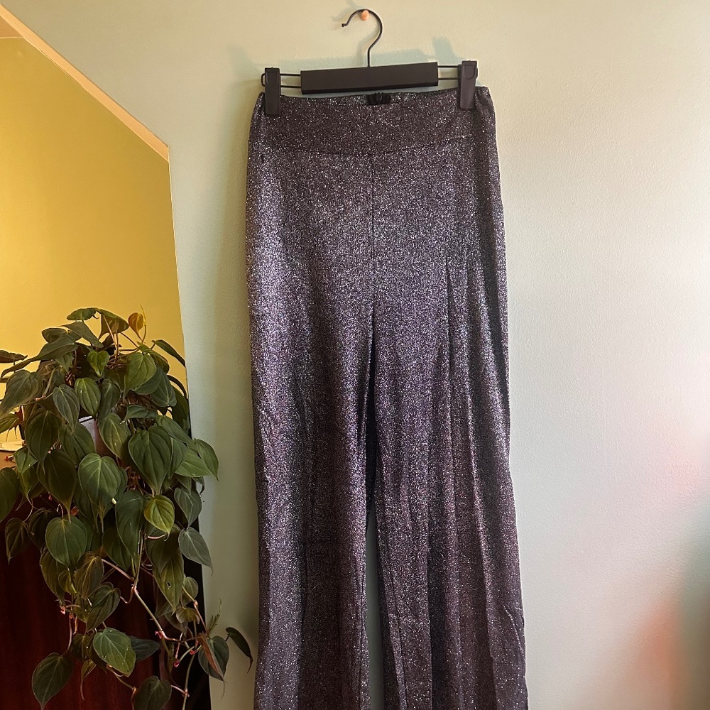 Disco Glitter Wide Leg Plants